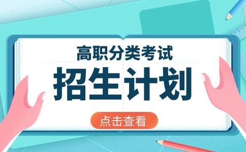 2024年湄洲湾职业技术学院高职分类招考招生计划